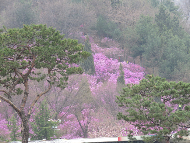 resize3045 写真: resize3045