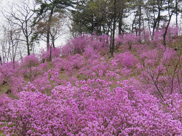 resize3058 写真: resize3058