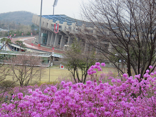 resize3062 写真: resize3062
