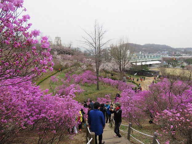 resize3064 写真: resize3064