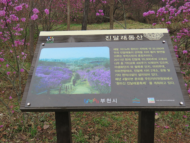 resize3083 写真: resize3083