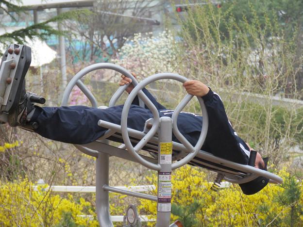 resize3096 写真: resize3096
