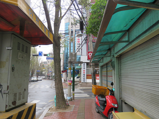 resize3106 写真: resize3106
