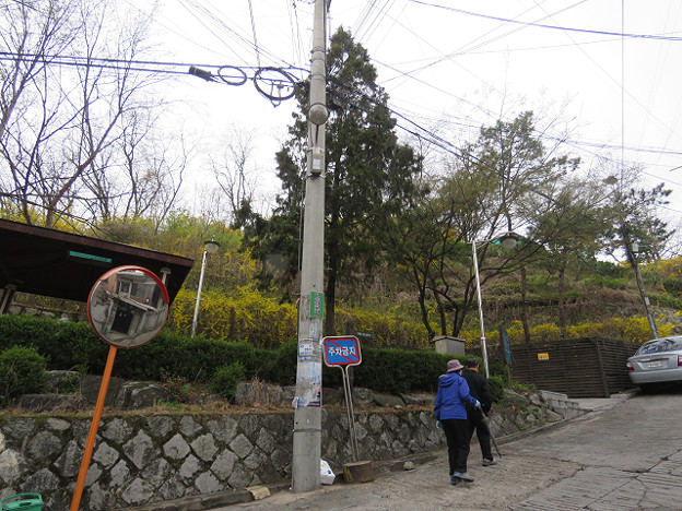 resize3136 写真: resize3136