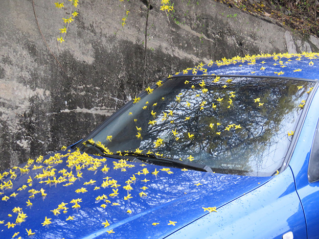 resize3138 写真: resize3138