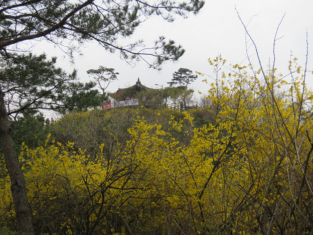 resize3146 写真: resize3146