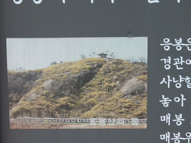 resize3164 写真: resize3164