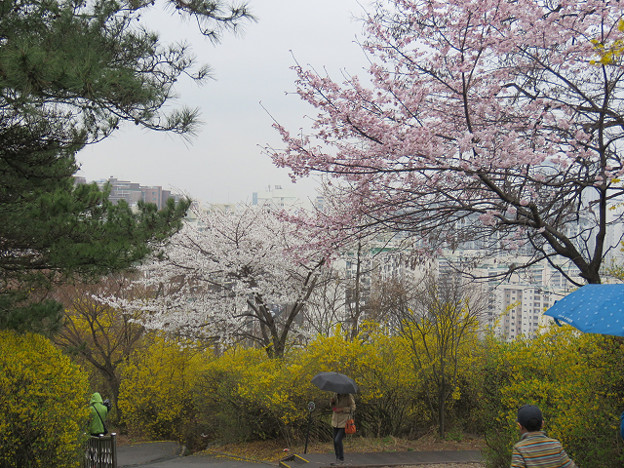 resize3167 写真: resize3167