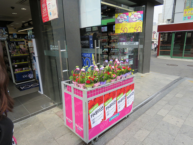 resize2865 写真: resize2865