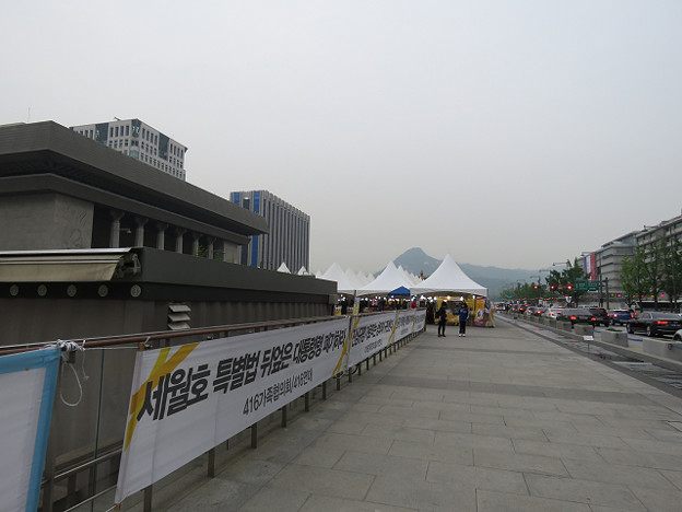 resize2891 写真: resize2891