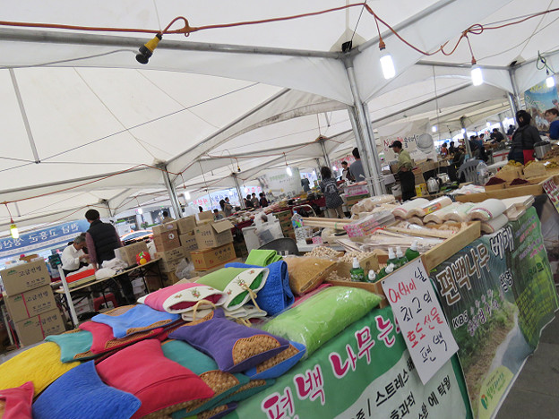resize2893 写真: resize2893
