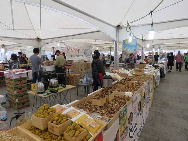 resize2894 写真: resize2894