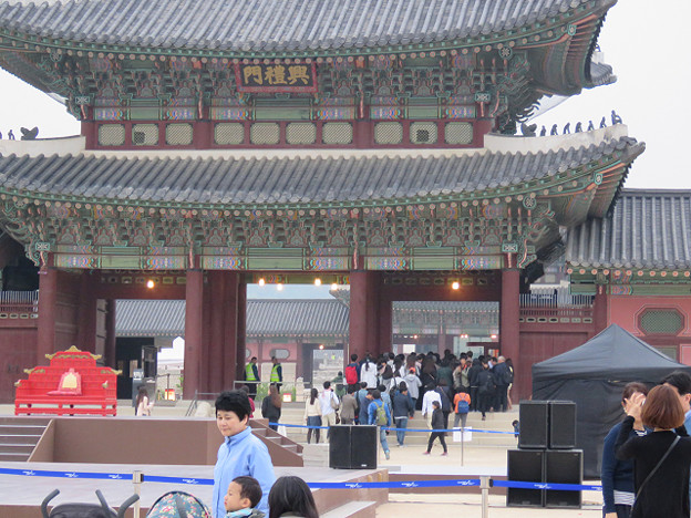 resize2910 写真: resize2910