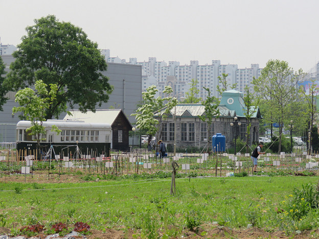 resize3141 写真: resize3141