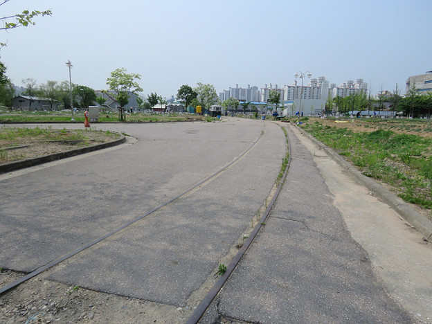 resize3142 写真: resize3142