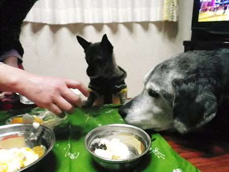 もも＆こうめ