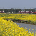 Photos: 凸の似合う風景。
