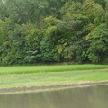 奈良県池部大塚山古墳 奈良県池部大塚山古墳
