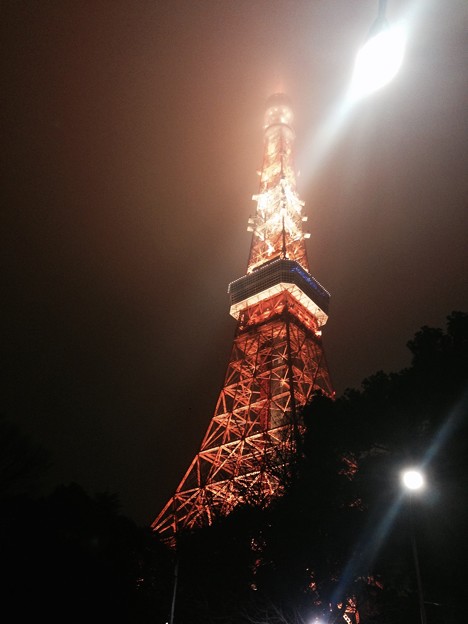 tokyo tower brightness