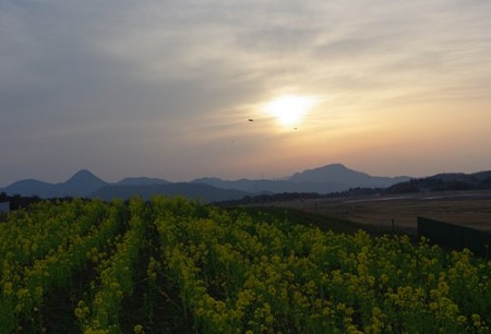 IMGP0514_0320