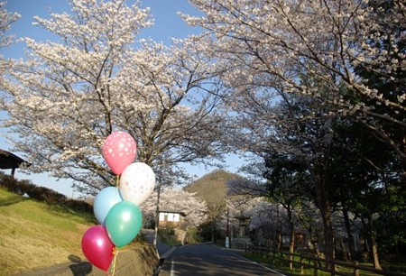 IMGP0141_0408a