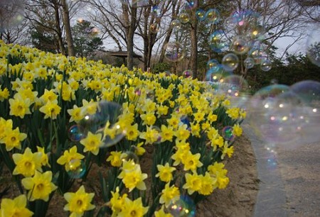 IMGP1515_0408b