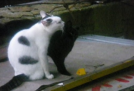 IMGP6046_0906