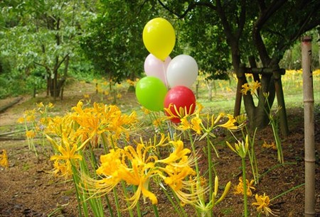 IMGP4990_0907