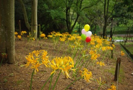 IMGP5049_0907