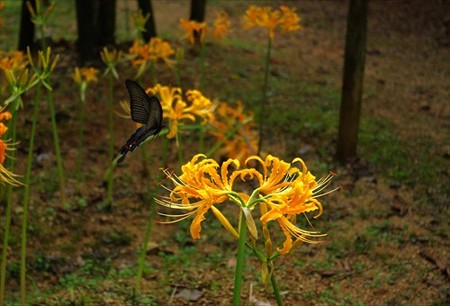 IMGP5066_0907