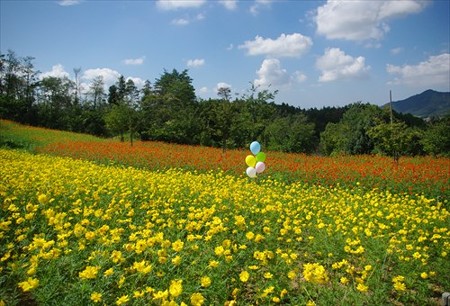 IMGP5367_0907