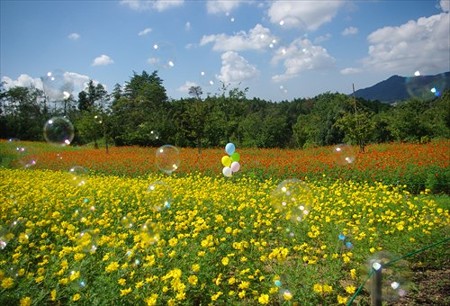 IMGP5383_0907
