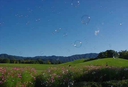 IMGP6638_0913