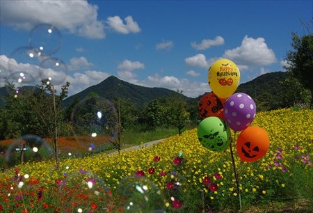 IMGP6914_0914