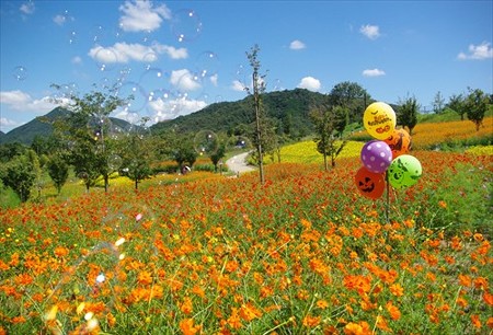 IMGP6985_0914
