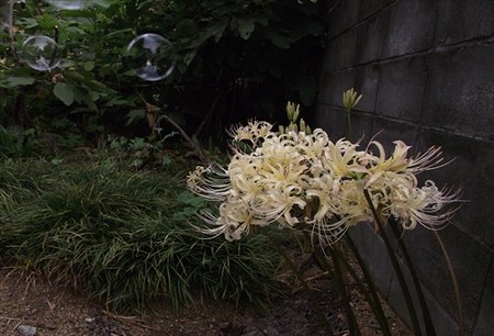 DSCF2325_0918