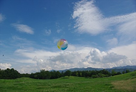 IMGP2411_0506