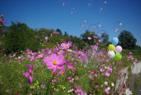 IMGP8610_09.27