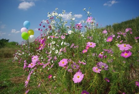 IMGP8640_0927