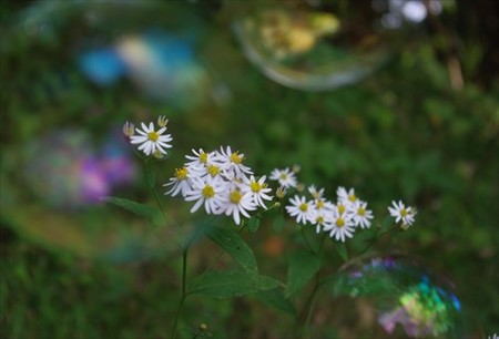 IMGP9687_0928