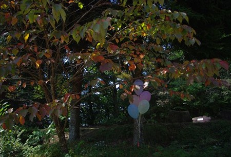 IMGP9827_0928