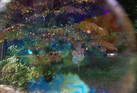 IMGP9842_0928