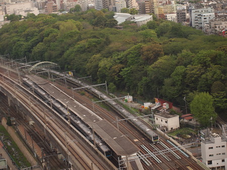 E233系 湘南新宿ライン池袋~赤羽