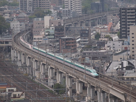 E5系はやぶさ 東北新幹線大宮~上野01