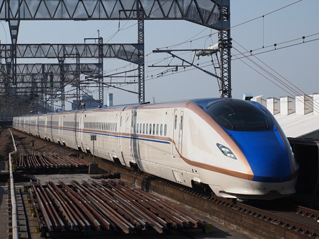 W7系はくたか 上越新幹線大宮駅