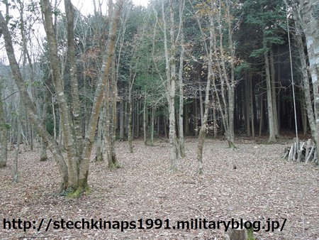 DSCN0668