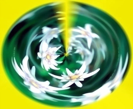 花物語_エーデルワイス-01