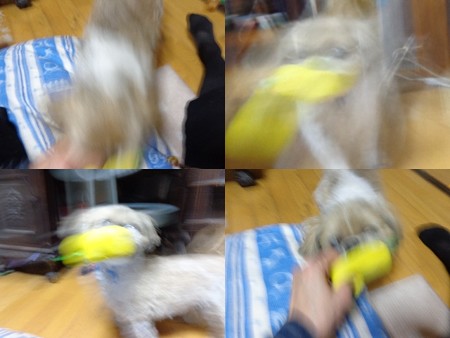 ぶれぶれ