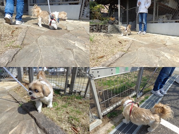 入れなかった