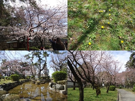 名古屋城4